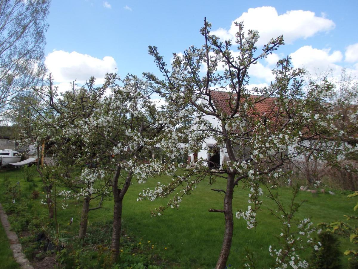 Krakowskie Mazury Gradzkie  Esterno foto