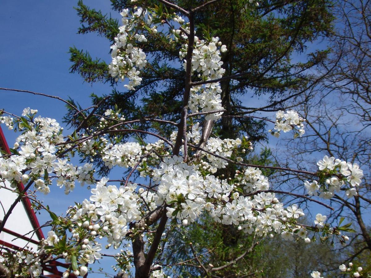 Krakowskie Mazury Gradzkie  Esterno foto