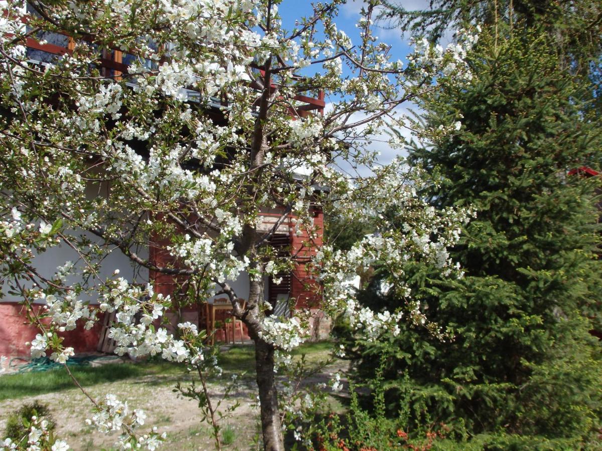 Krakowskie Mazury Gradzkie  Esterno foto